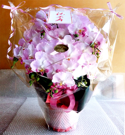 光触媒 造花 胡蝶蘭アレンジ特大サイズ陶器仕様A(7本立ち・ラベンダー)のラッピング