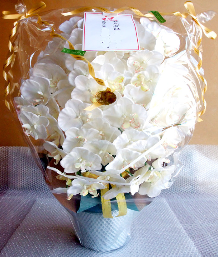 ���G�} ���� �Ӓ����A�����W����T�C�Y����d�l�c�i�V�{�����E�z���C�g�C�G���[�j�̃��b�s���O