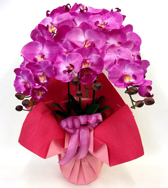 光触媒 造花 胡蝶蘭アレンジ陶器仕様G(3本立ち・ラベンダー)