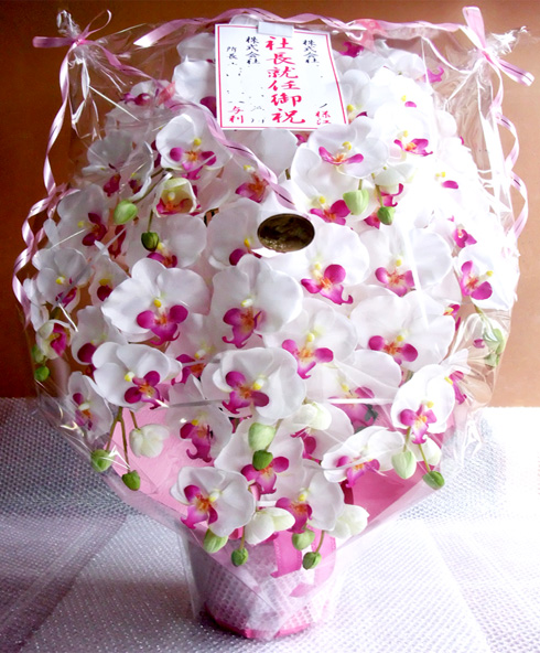 G}  ӒAWTCYdlbiX{EzCgr[eB[j̃bsO