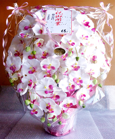 G}  ӒAWTCYdlbiX{EzCgr[eB[j̃bsO