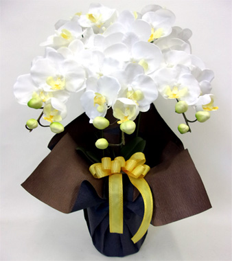 光触媒 造花 胡蝶蘭アレンジ陶器仕様G(3本立ち・ホワイトイエロー)