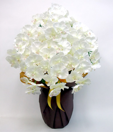 光触媒 造花 胡蝶蘭アレンジ特大サイズ陶器仕様D(6本立ち・ホワイトイエロー)