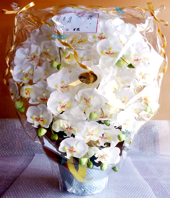 G}  ӒAWTCYdlbiX{EzCgCG[j̃bsO