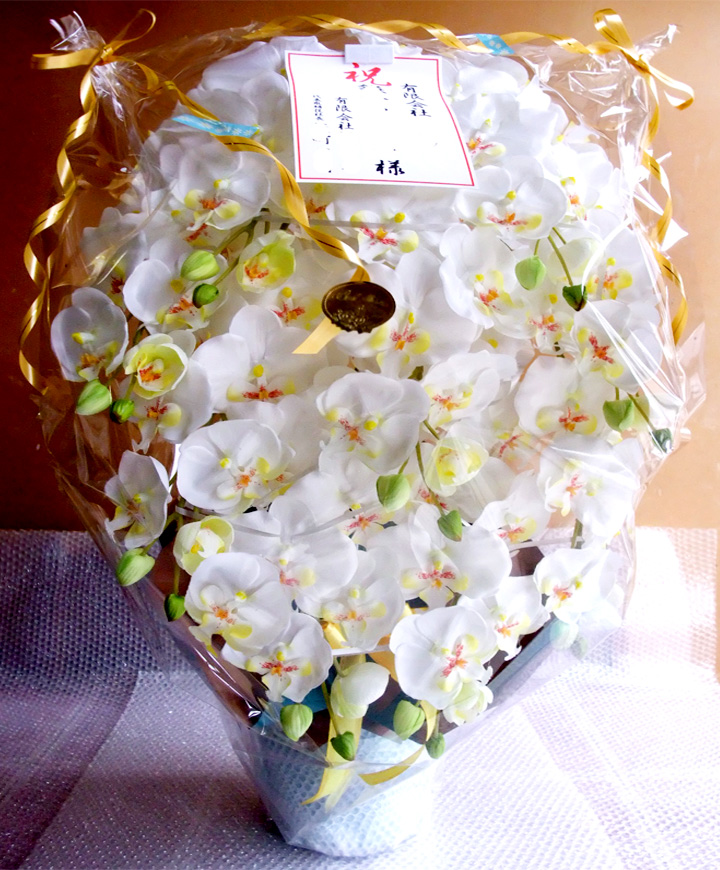 G}  ӒAWTCYdlbiX{EzCgCG[j̃bsO