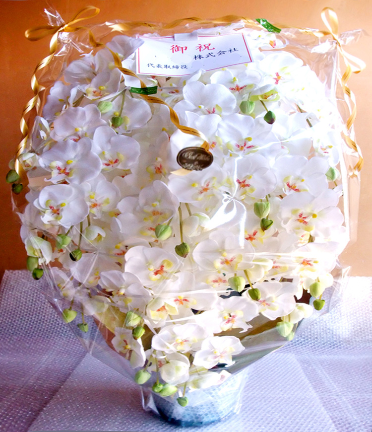 ���G�} �Ӓ����A�����W������T�C�Y����d�l�b�i�P�T�{�����E�z���C�g�C�G���[�j�̃��b�s���O