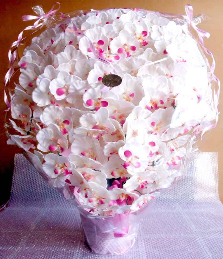 G} ӒAWTCYdlciPT{EzCgr[eB[j̃bsO