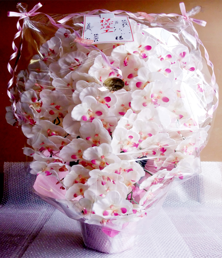 G} ӒAWTCYdlciPT{EzCgr[eB[j̃bsO