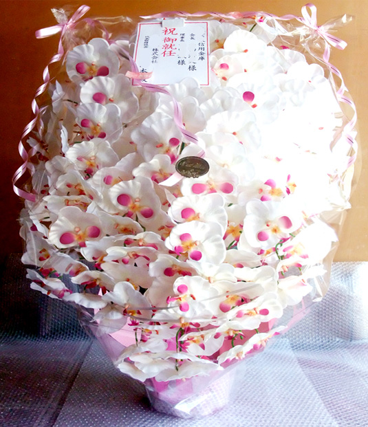 G} ӒAWTCYdlciPT{EzCgr[eB[j̃bsO