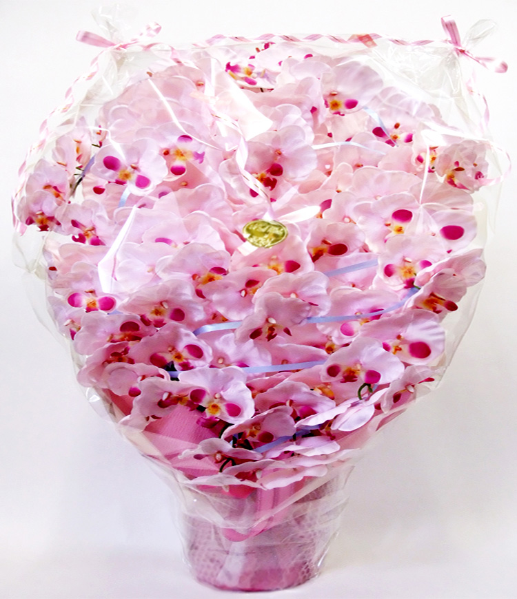 G} ӒAWTCYdlciPT{EsNx_[j̃bsO