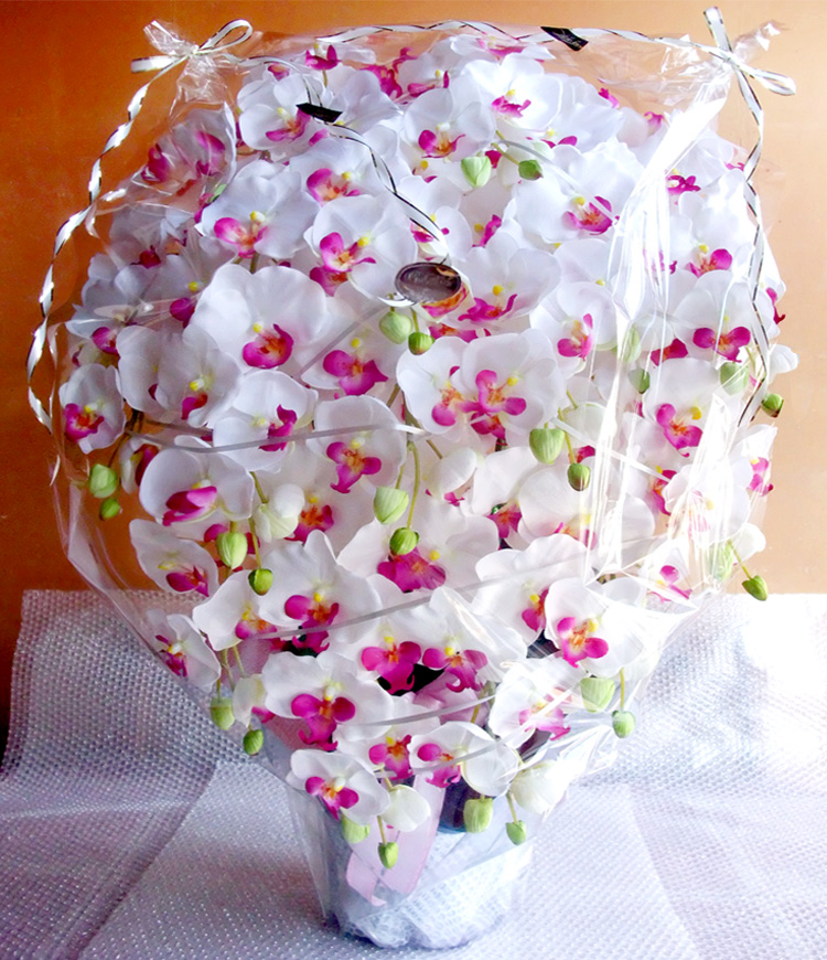 G} ӒAWTCYdlbiPT{EzCgr[eB[j̃bsO