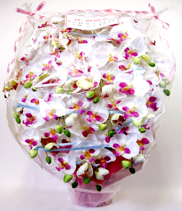 G} ӒAWTCYdlbiPT{EzCgr[eB[j̃bsO