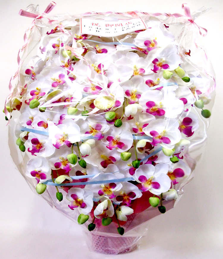 G} ӒAWTCYdlbiPT{EzCgr[eB[j̃bsO