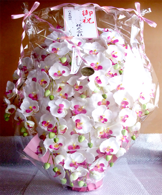 �G�} �Ӓ����A�����W������T�C�Y����d�l�b�i�P�T�{�����E�z���C�g�r���[�e�B�[�j�̃��b�s���O