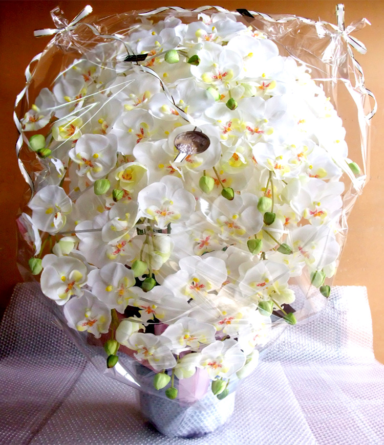 G} ӒAWTCYdlbiPT{EzCgCG[j̃bsO