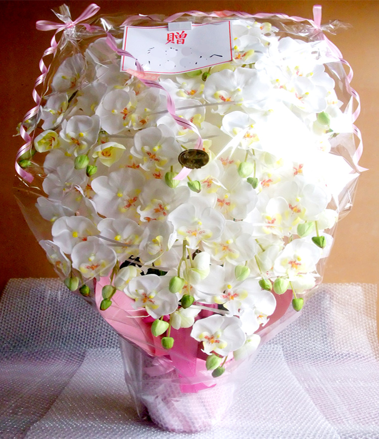 G} ӒAWTCYdlbiPT{EzCgCG[j̃bsO