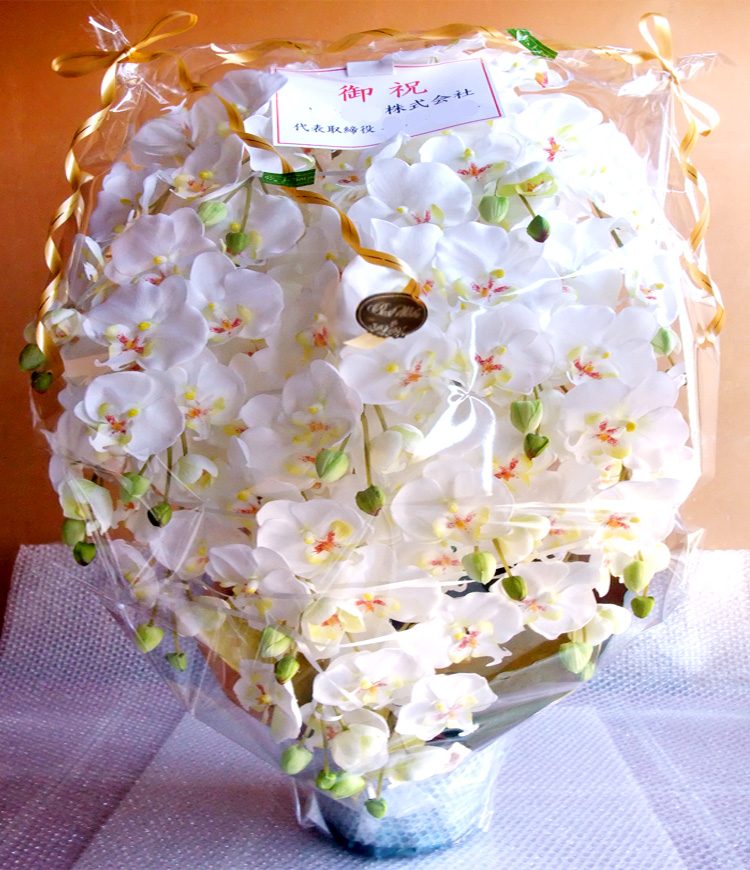 ���G�} �Ӓ����A�����W������T�C�Y����d�l�b�i�P�T�{�����E�z���C�g�C�G���[�j�̃��b�s���O